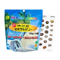 소라게 젤리 먹이 애완 딸기소라게 키우기 사료 밥, 1개＋스티커증정