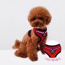 리얼펫 항균 레드라이트 야간 산책용 불빛 LED 강아지 하네스, RED