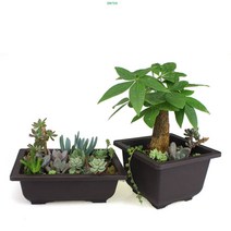 사각 분재 화분 분재분 플라스틱 화분 분갈이, B12X16.5, 1개