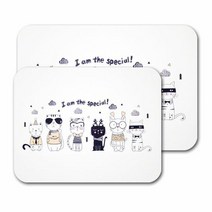 규조토 발매트 논슬립패드+사포 포함 아임스페셜 L