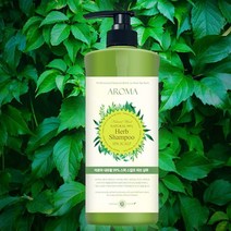 자연바람 아로마 내추럴99% 스파 스캘프 허브샴푸1000ml/천연유래샴푸, 1개