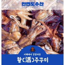 안면도수산 서해 산지직송 활 쭈꾸미, 2kg, 1개