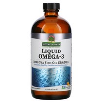네이쳐스앤서 오메가 3 어유 EPA DHA 오렌지 480ml, 1개, 기본