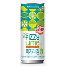 광동 비타500 피지라임 240ml 캔, 38개