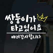 108 STUDIO 쌍둥이기 타고있어요 차량스티커230, 239-라지