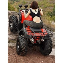 사륜 4륜 오토바이 125cc 버기카 짐운반 바이크, 빅불 패키지 세븐