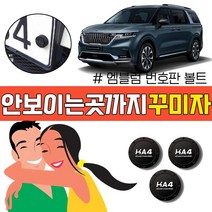 4세대 카니발을 샀다면 눈치껏 튜닝 하자 번호판 볼트, 본상품선택