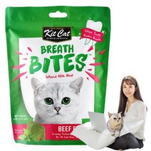 킷캣 브레쓰바이트 고양이 덴탈 치석제거 이빨과자 마약간식, 1팩, 소고기맛 60g