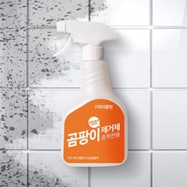 닥터클린 곰팡이 흔적 전용 제거제 베란다 벽지 가구 화장실 곰팡이균 세정 500ml, 1개