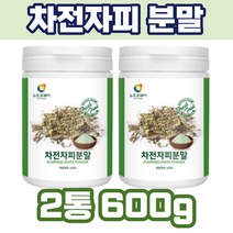 차전자피 100% 분말 300g 물에 타먹는 타마시는 쉐이크 powder 재구매 성인 여성 남성 남자친구 여자친구 운동 관리 데일리 식전 식후