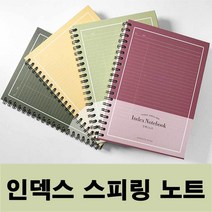 태권도장 체육관 전용 타격 연습용 킥미트 X 2개입 준비물 생일 신학기 남친 여친 개인 운동 아빠 회, 올리브
