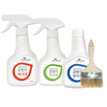에코후레쉬 곰팡이제거제 500ml + 곰팡이향균제500ml + 곰팡이방지제500ml + 붓, 15세트