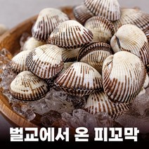 구매평 좋은 냉동꼬막살 추천순위 TOP 8 소개