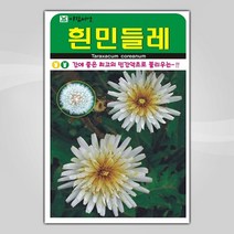슬로시 꽃 씨앗 모음 꽃씨 허브 허브씨, 흰민들레100립(아람)
