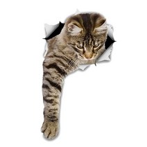 차량용 냉장고 미니 냉온장고 캠핑용 온장고 3Ratels CM29 사랑스러운 고양이 페르시아 Birman Bombay 영국, 01 CM29-1_02 20cm(7.87 inch)