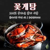 [입맛저격] 시원한 꽃게탕 2~3인분 /100% 국내산 꽃게 사용/ 꽃게+조개+미더덕+비법육수+모듬야채(서비스) / 혼술 캠핑 자취생 요리에 좋은 꽃게탕밀키트, 2-3인분(꽃게&해산물+비법육수+야채)