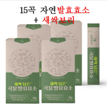 탄수화물 분해효소 지방 분해 발효효소 15곡물 새싹보리 분말 가루 아밀라아제 프로테아제 친환경 소화 효소제 스틱, 4박스(120포/4개월분)