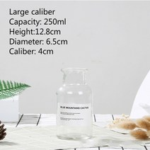 북유럽 꽃병 장식 거실 인테리어 꽃 화병 유리 꽃병 홈 작은 수경 식물 유리 병 거실, 씨엘 구경 250ml