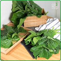 [신선연구소] 국내산 호박잎 1단 (380g 내외), 단품