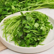 푸르젠 [푸르젠] 정종범님의 무농약 청도 한재 미나리 1kg, 1