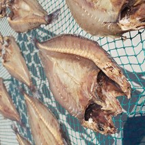 녹차품은 여수 통민어 반건조 할복 나비형 민어, 활복민어(10미)