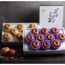 사과배1+1 혼합과일세트, [고급] 정성가득 사과 5과 2kg _단품