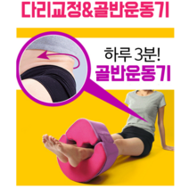 홈트쌤 골반운동기구 허리운동 트위스트운동기 일본유명 운동기구