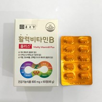 활성비타민 고농축 고함량 비타민비 판토텐산 활력 비타민B군 컴플렉스 종근당, 1. 종근당 활력비타민B