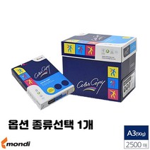 레이저 프린터용 A4 A3 복사 에이포 용지 100g 135g 160g 90g 미색 유광 백색 종류선택 1개, A3 백색 90g 2500매