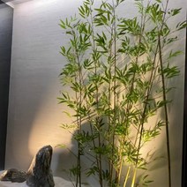 베로니카 인조 대나무 조화 세트 장식 인테리어 소품 실내 조경, 부식방지대나무 2미터 8뿌리