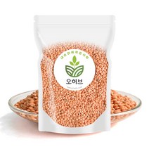 오허브 렌틸콩 렌즈콩 렌탈콩 레드 1kg, 매운맛
