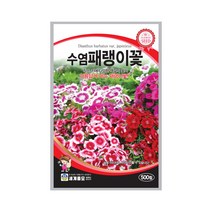모칸도 (무배)세계 수염패랭이꽃 꽃씨 (500립)