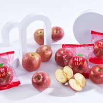 달콤한 햇 부사 세척 사과 2.5kg (12-14과 내외), 단품
