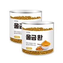 진도 울금환 강황환 커큐민 율금 터메릭 투메릭 강항 2병