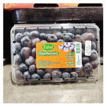 코스트코 블루베리 생과 510G 원산지 칠레 [에어캡포장]