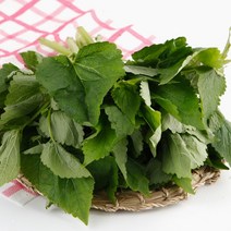김해 향긋한 생방아잎 500g 나물 산지직송, 단품