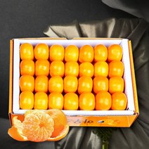 [보섭이네푸드]가락시장 직송 유명산지 하우스감귤 3kg(40과내), 단품