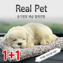 1+1숯품은 강아지 제습 탈취인형 차량용 공기정화, 골든리트리버(리얼)_푸들(미니)