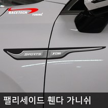 레이스텍 팰리세이드 스타일리쉬 3D입체 휀다 가니쉬