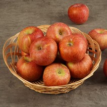 부사사과 가정용 중과 10kg(35~38과), 단품