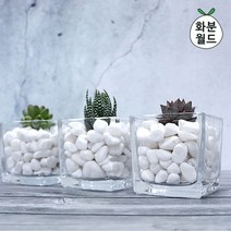 [바보사랑] 백자갈(대포장) 정원자갈 정원돌 흑자갈 주차장자갈 어항자갈, 타입:백자갈0호(대포장)