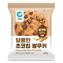 [얌얌마켓] 청정원 달콤한 초코칩 쌀쿠키 400g(40gX10개)[아이스박스 포함]