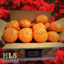 한라산농장 레드향 10KG 쥬스용 랜덤(소~대과) 혼합~특정과 50박스 한정판매
