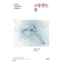 고통받는 몸:세계를 창조하기와 파괴하기, 오월의봄, 일레인 스캐리 저/메이 역