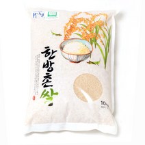 2022년 햅쌀 동의보감 산청 친환경 무농약 금서한방촌쌀 백미 당일도정, 10kg, 1포