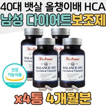가르시니아 다이어트 보조제 40대 남성 뱃살 올챙이배 남자 먹는 기초대사량 건강한 복부 다이어트 식단 추천 윗배 똥배 살 빨리 빼는법 복부지방 피하지방 내장지방 직장인 회사원