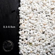 영플랜츠 수초 발리스네리아 나자스말 붕어마름 개구리밥 생이가래 강바위 돌 자연 장식 광택 혼합 자갈 모, 16 T16 3-5MM More sizes