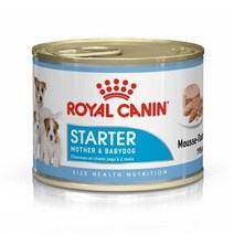 리디아넬 영양보충 강쥐 습식사료 베이비용 2개 말랑한사료 (8251730), 기본