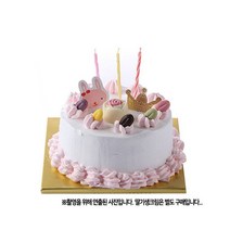 DIY/생일 (미니초코데코) 케익 만들기세트, 그린트레이드 DIY(기본바닐라시트), 그린트레이드 본상품선택