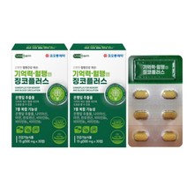 코오롱제약 징코 은행잎추출타블렛 1개월2통 뇌영양제 여성 남성 직장인 수험생 기억력개선약 노인